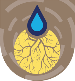 Imagen Destacada del Producto