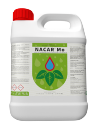 NACAR ® BORO