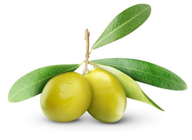aceituna blogo noticias