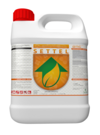 SETTEL ®